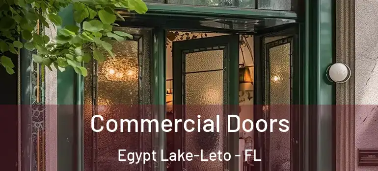  Commercial Doors Egypt Lake-Leto - FL