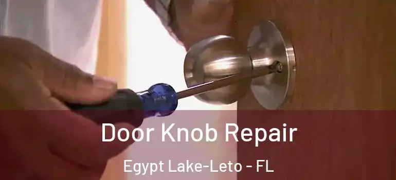  Door Knob Repair Egypt Lake-Leto - FL