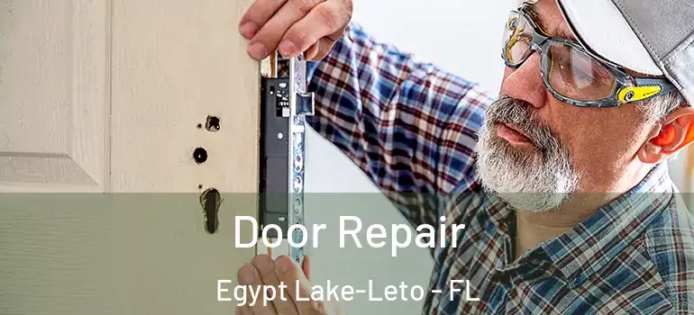  Door Repair Egypt Lake-Leto - FL