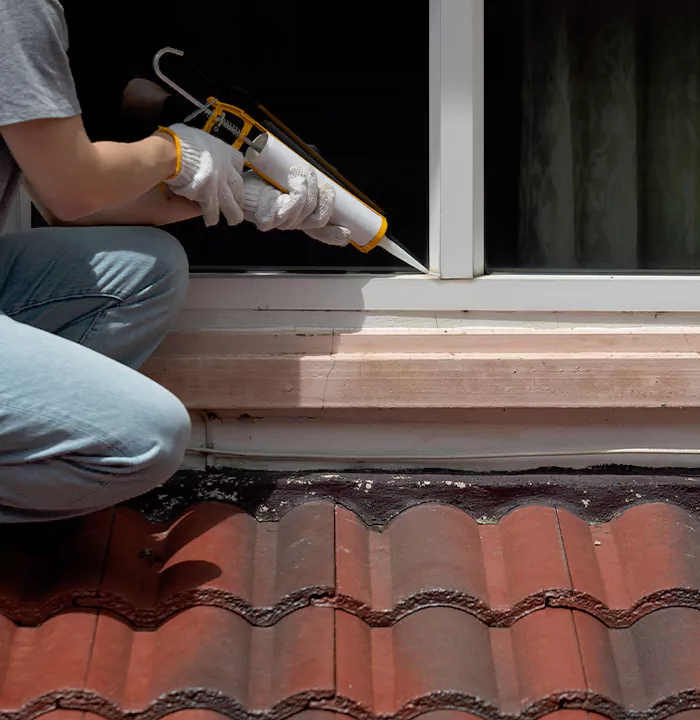 Roof Window Services in Egypt Lake-Leto, Florida