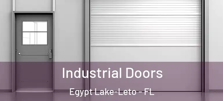  Industrial Doors Egypt Lake-Leto - FL