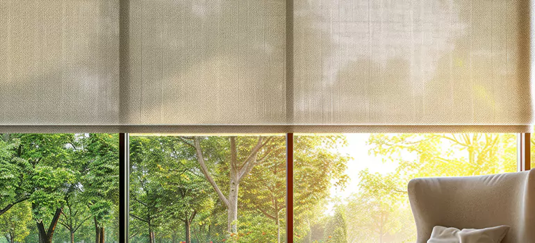 Custom Window Shades in Egypt Lake-Leto, FL