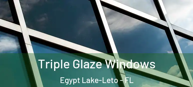  Triple Glaze Windows Egypt Lake-Leto - FL
