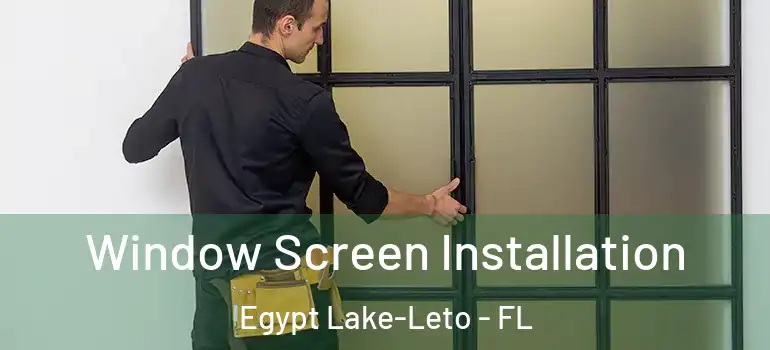  Window Screen Installation Egypt Lake-Leto - FL